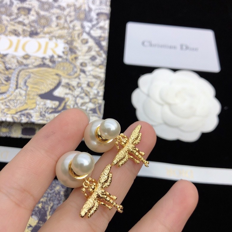 Christian Dior Earrings